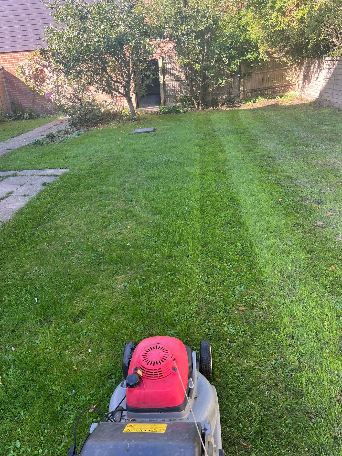 Garden transformation